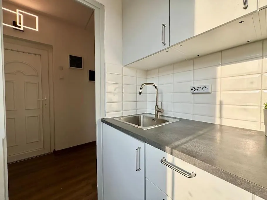 Szigony Residence - Spacious Apt Βουδαπέστη